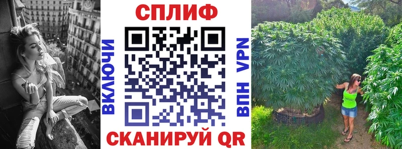 Шишки марихуана гибрид Фокино